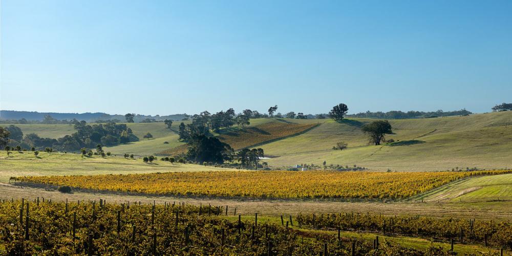 Grosset Wines