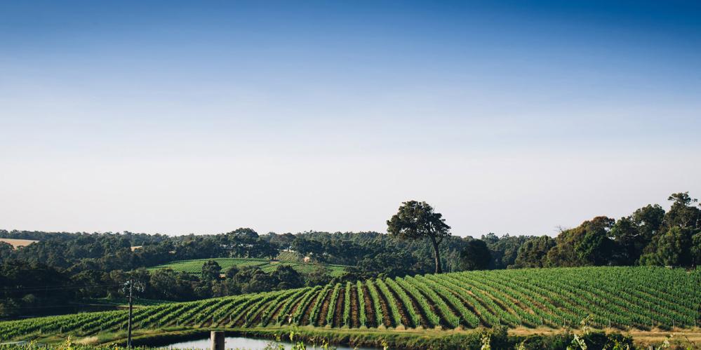 Woodlands Margaret River Winery