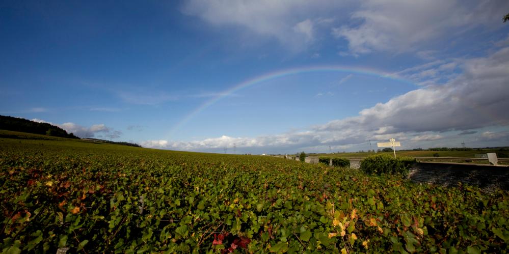 Domaine Prieure Roch