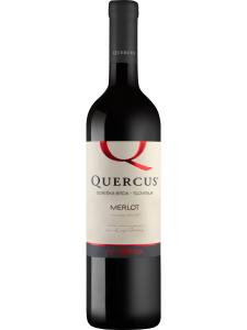 Quercus Merlot, Goriska Brda, Slovenia
