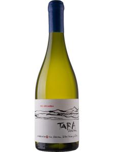 Vina Ventisquero 'Tara Atacama' White Wine 1 Chardonnay, Atacama, Chile