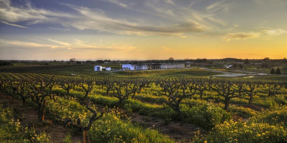 Andis Wines